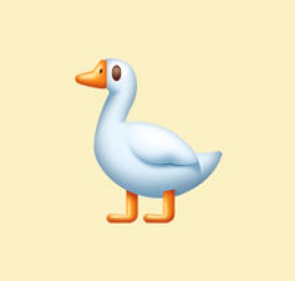 Рузана Тойчибай кызы